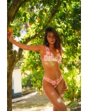 Gloria orange flowers top