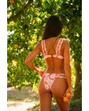 Gloria orange flowers bottom